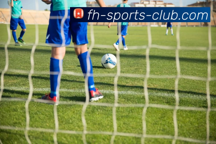 凤凰体育俱乐部APP 体育赛事宣传图